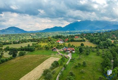 Teren Intravilan – Construcții - 3