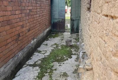 Casă cu 2 camere în Borlova - 5