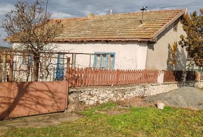 Teren de 2900 mp, în Grădina - 2