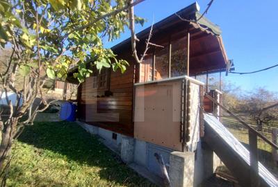 Teren 300 mp + Cabana,zona Livezile,Valea Lunga - 2