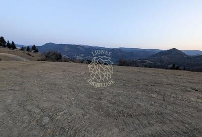 Teren Construcții intravilan de 750 mp, în Colibița - 7