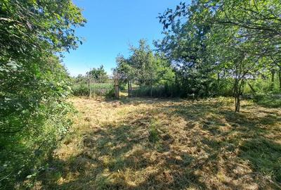 Casă individuală cu 2 camere cu Teren 1435 Mp în Șișterea - 14