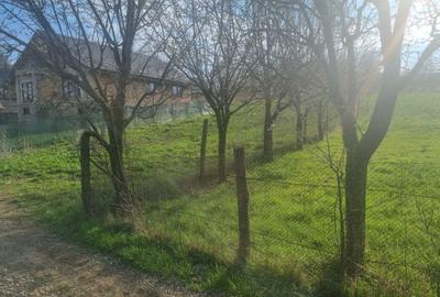 Spațiu comercial, în Rusenii Noi - 5