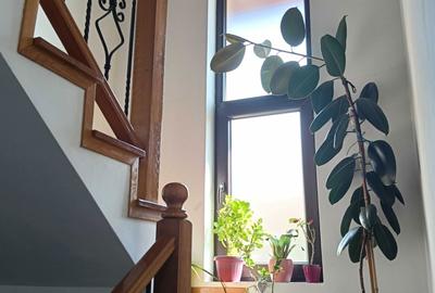 Casă cu 4 camere în Ungheni - 5