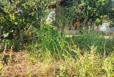 TEREN 510 MP ZONA PALAZU MARE - 11