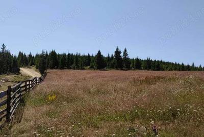 Teren în Măguri - 1
