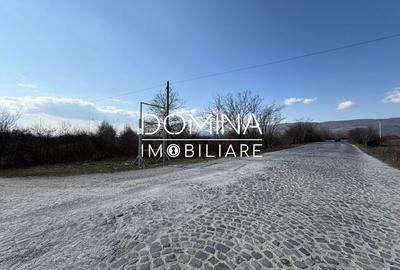 Teren Construcții de 3268 mp, în Lelești - 6