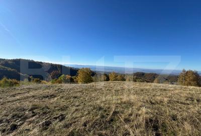 Teren de 54722 mp, în Central - 3