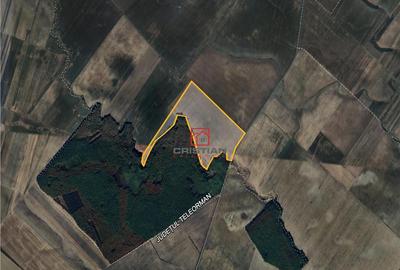 Teren agricol Corbii Mari, Dambovita - 1