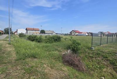 Teren de 600 mp, în Botiz - 10