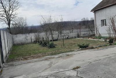 Casă cu Teren 11000 Mp în Pluta - 10