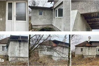 Casă cu 3 camere cu Teren 7447 Mp în Petriș