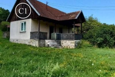 Teren agricol intravilan de 14368 mp, în Valea Bradului - 1