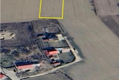 Teren 7.200 mp, de vanzare, loc. Rusi Ciutea, com. Letea Veche, jud. Bacau - 2