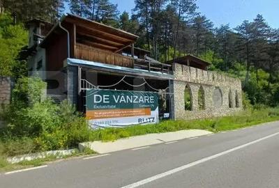 Casă cu Teren 5000 Mp în Surduc - 6