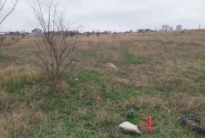 TEREN INTRAVILAN 306 mp – Palazu Mare, Constanța - Ocazie Unica - 3