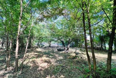 Teren intravilan 1500mp in Livedea, Ialomita - 9