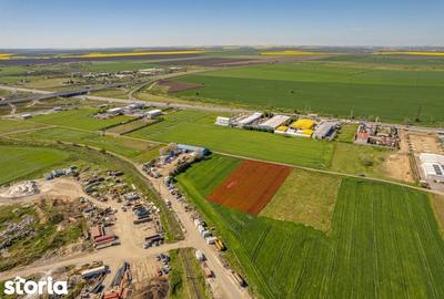 Teren de 5000 mp, în Palas - 5
