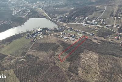 Spațiu comercial, în Centura - 3