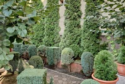 Casa individuala 180 mp, teren 250 mp, Marasti - 13