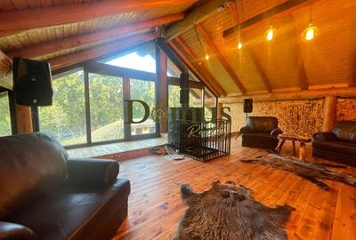 Casa de Busteni Buncar Piscina Independenta Complet - 15