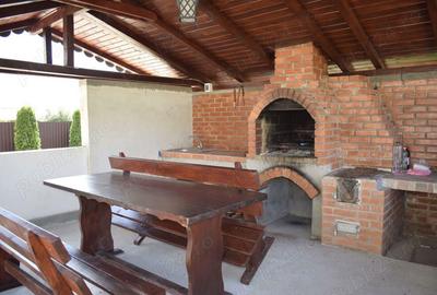 Vila de inchiriat - 8