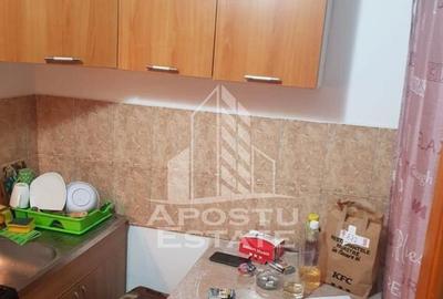 Apartament o camera, Sagului, clima, complet mobilat si u... - 12