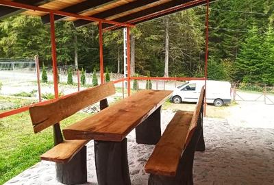 Casă de vacanță în Pojorâta - 14
