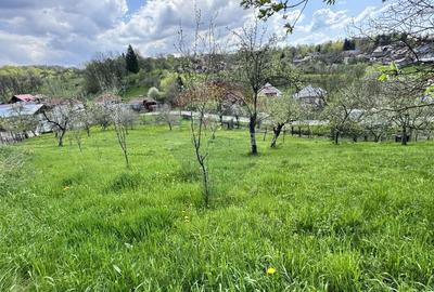 Teren Albesti Arges - Ultracentral Teren Albesti Arges - Ultracentral - 9