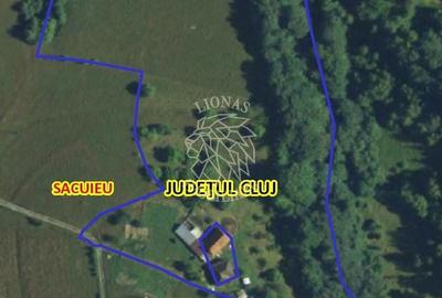Teren de 20000 mp, în Săcuieu - 6