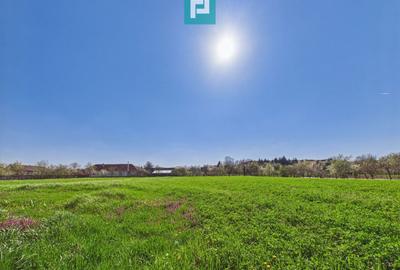 Teren Construcții intravilan de 3024 mp, în Almaș - 1