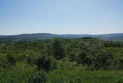 Teren de 350 mp, în Cercu - 3