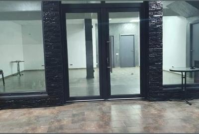 Voluntari Matei Millo Vanzare Vila individuala pretabila activitate diversa - 9