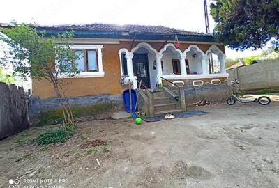Casă cu Teren 2480 Mp în Păltinișu - 2