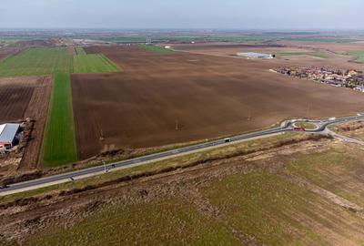 Teren extravilan șosea Dn 79 Arad-Oradea - Comision 0% la cumparare - 5