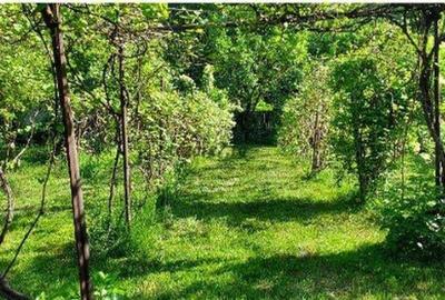 De vinzare propietate in Statiunea Targum Ocna - 1