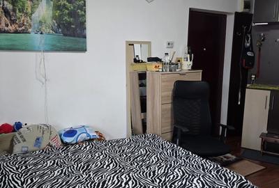 Garsoniera, situata pe malul Somesului, cartierul Grigorescu - 3