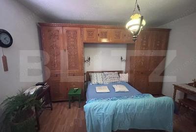 Casa cu incalzire in pardoseala si 17.000 mp teren, sat Oboga - 14