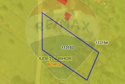 Teren agricol intravilan de 1700 mp, în Borod - 2