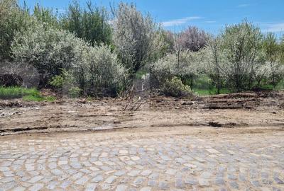 Spațiu comercial, în Popoveni - 3