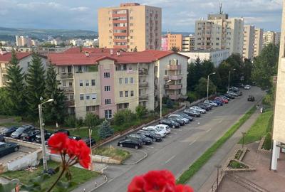Apartament 1 camera Manastur, str.Bucegi, zona McDonald;s, sp 30 mp - 6