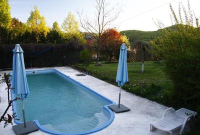 Casa individuala de lux cu piscina si teren de 4.400mp in zona VIVO - 3