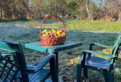 Casă cu 2 camere cu Teren 1800 Mp în Porumbacu de Sus - 9