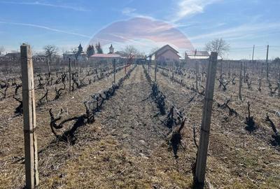 Teren de 1523 mp, în Unirea - 6