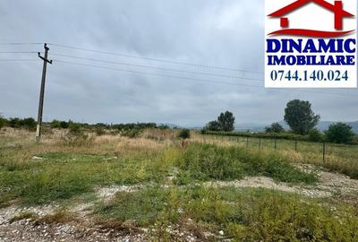 Teren 3600 mp intravilan, Piatra-Neamt, 25 Eur/MP - 1