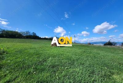 De vanzare 2965 mp teren intravilan, toate utilitatile, Oarda de Sus De vanzare 2965 mp teren intravilan, toate utilitatile, Oarda de Sus - 6