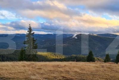 Cabana cocheta din lemn in Belis – 3 camere, ideala pentru vacanta sau investiti - 10