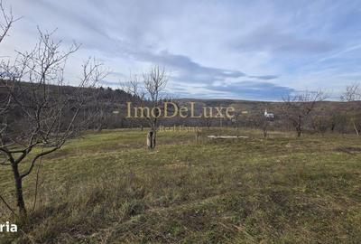 Spațiu comercial, în Baciu - 3