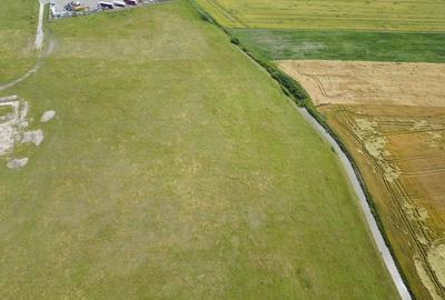 Teren intravilan de 29,970mp Sacalaz - 26