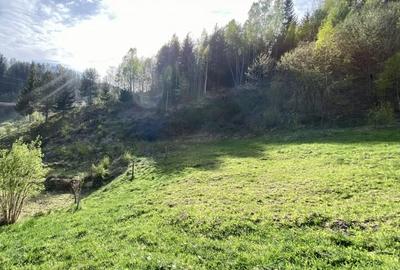 Teren panoramic insorit, utilitati, panta mica si padure, turism sau vacanta - 15